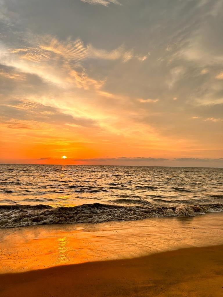Enocean Homestay شاطئ شيراي المظهر الخارجي الصورة