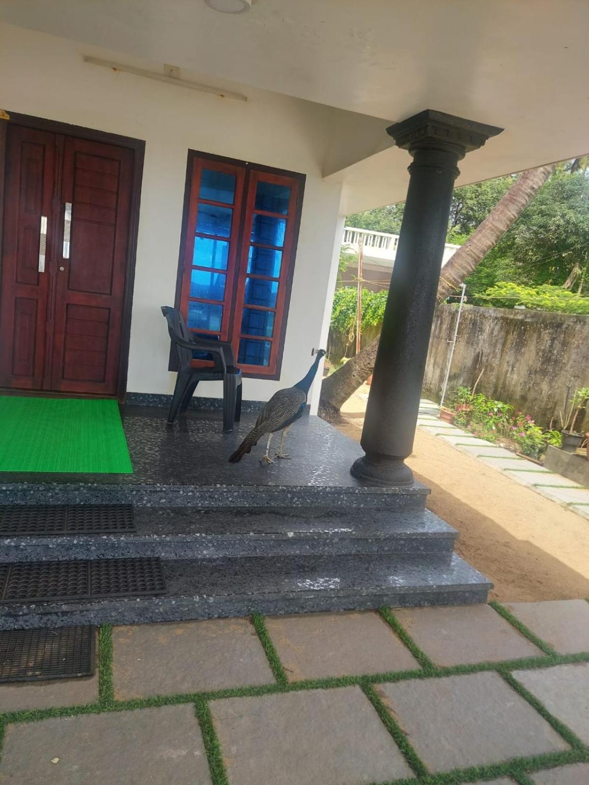 Enocean Homestay شاطئ شيراي المظهر الخارجي الصورة